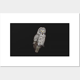 Great Grey Owl Posters and Art